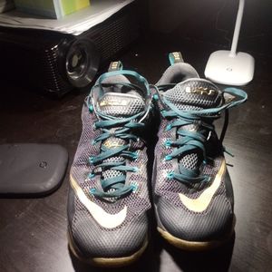 LeBron 12 SVSM